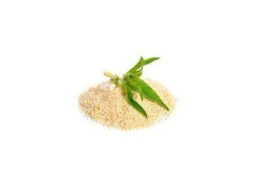 sesame