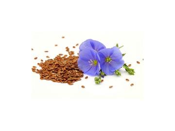 Flax